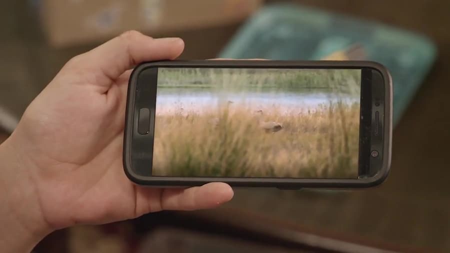 دانا و دایناسورها Dino Dana - فصل 3 قسمت 6